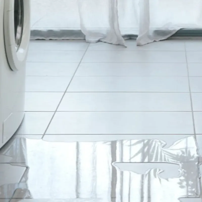 Appliance Leak Cleanup in Sharon, MS