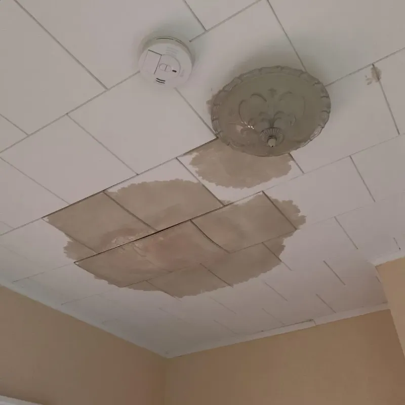 Ceiling Water Damage Repair in Sharon, MS