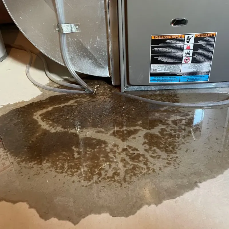 Pipe Burst and Leak Restoration in Sharon, MS