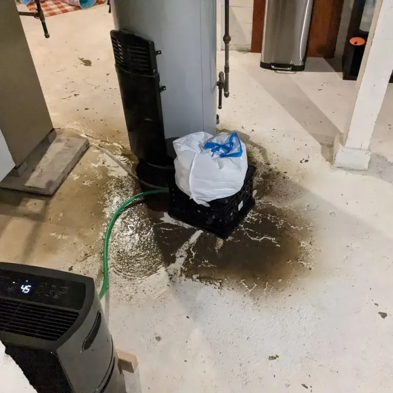 Sewage Backup Cleanup Service in Sharon, MS